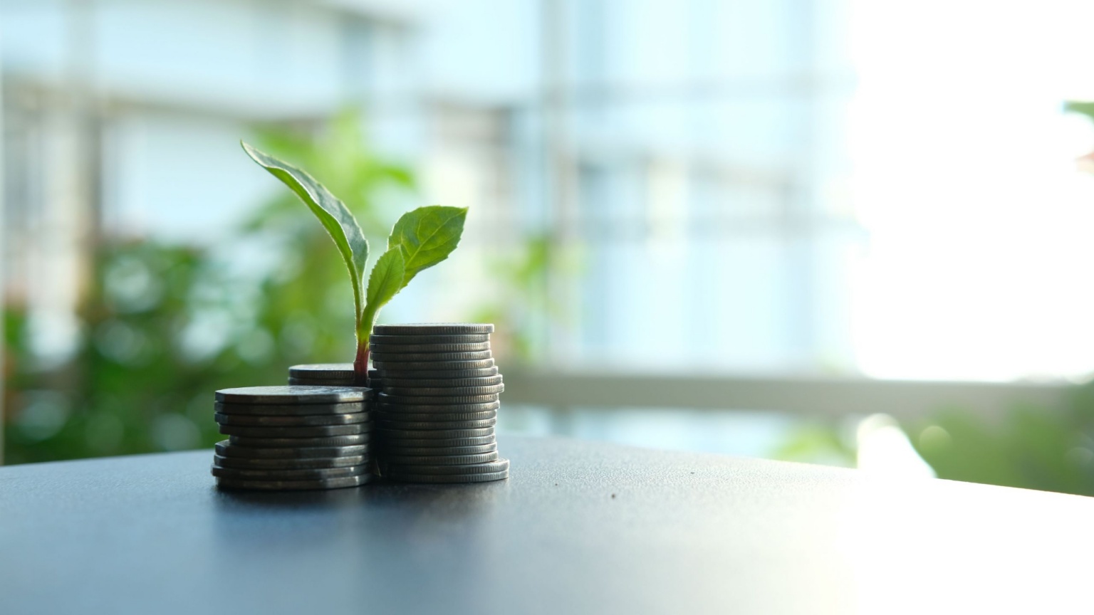 What Is Capital Growth
