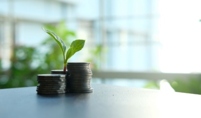 What Is Capital Growth