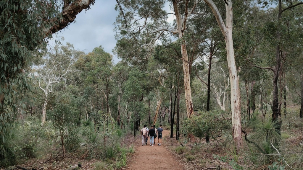 Australian Bush Walk Outback 2560x1440