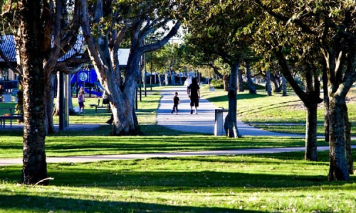 Park with vibrant green grass and trees on a sunny day